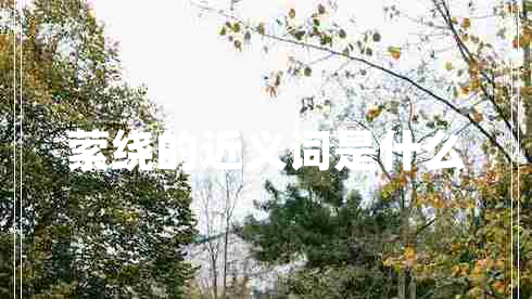 縈繞的近義詞是什么