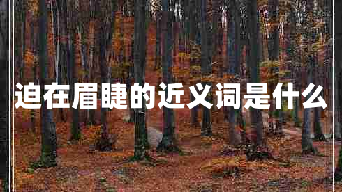 迫在眉睫的近義詞是什么