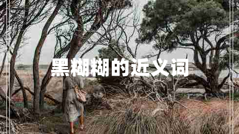 黑糊糊的近義詞