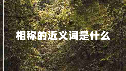 相稱的近義詞是什么