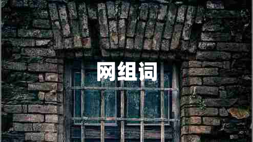 網(wǎng)組詞