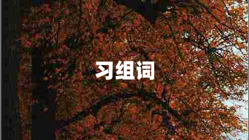 習(xí)組詞 習(xí)組詞