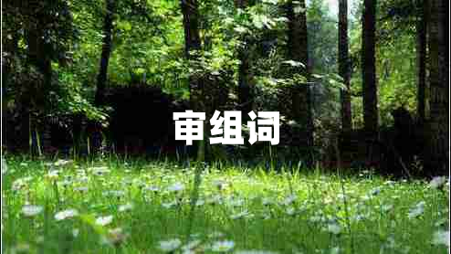 審組詞