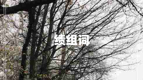 績(jī)組詞