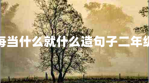 每當(dāng)什么就什么造句子二年級
