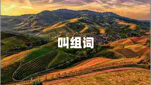 叫組詞