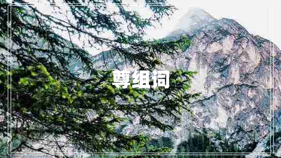 尊組詞 尊組詞