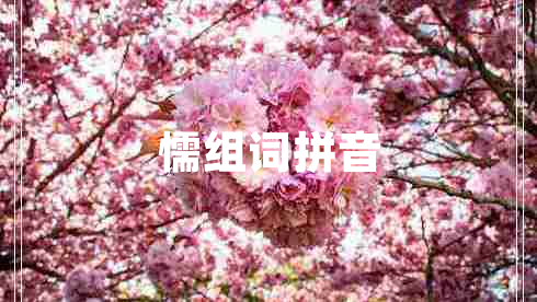 懦組詞拼音