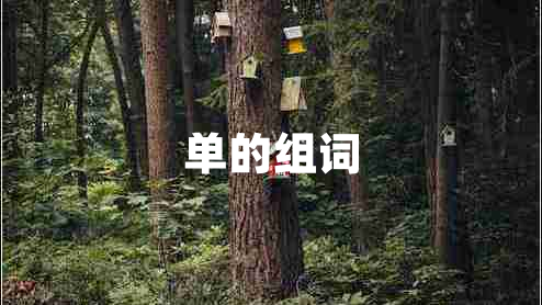 單的組詞