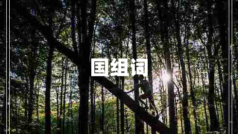 國組詞