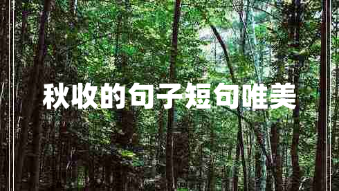 秋收的句子短句唯美 秋收的句子短句唯美