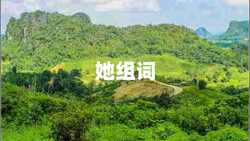 她組詞