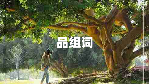 品組詞 品組詞