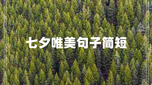 七夕唯美句子簡短 七夕唯美句子簡短