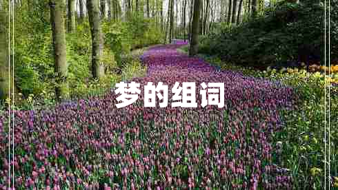 夢的組詞