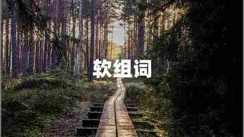 軟組詞