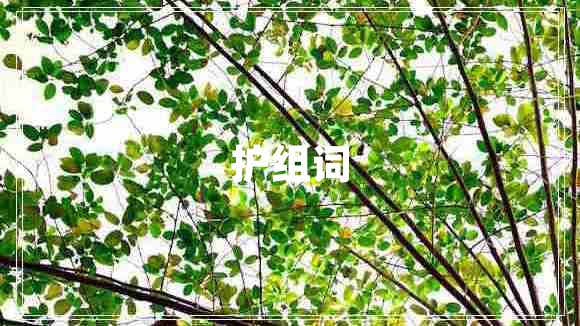 護組詞 護組詞