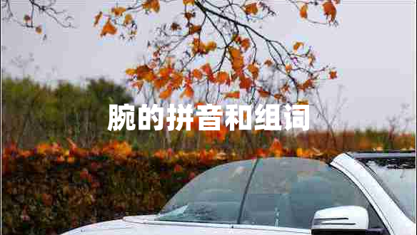 腕的拼音和組詞