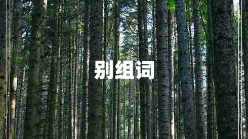 別組詞