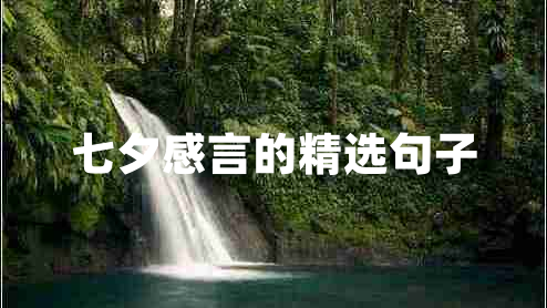 七夕感言的精選句子