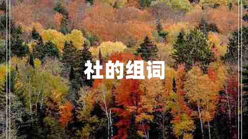 社的組詞 社的組詞