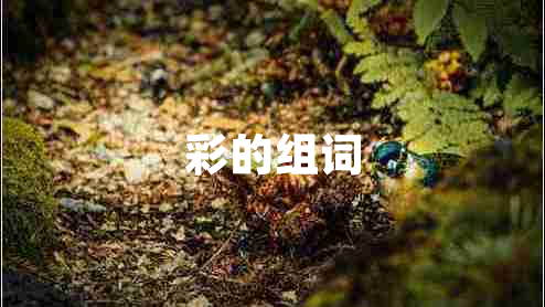 彩的組詞 彩的組詞