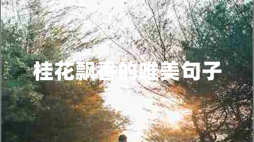 桂花飄香的唯美句子