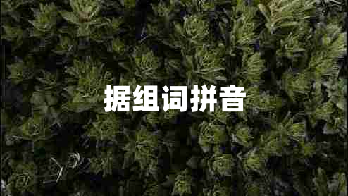 據(jù)組詞拼音