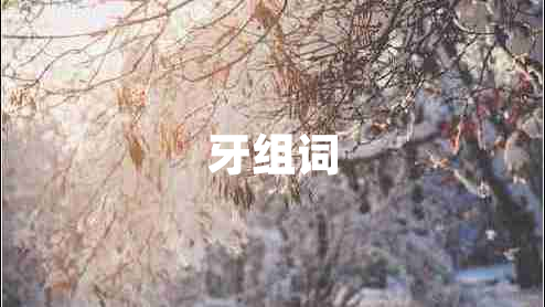 牙組詞