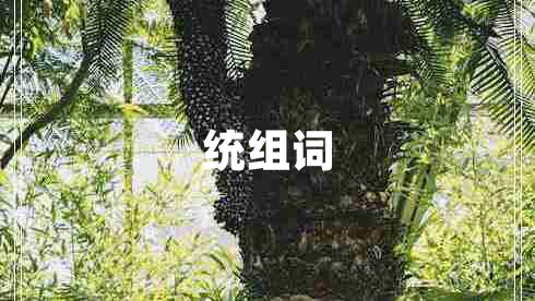 統(tǒng)組詞