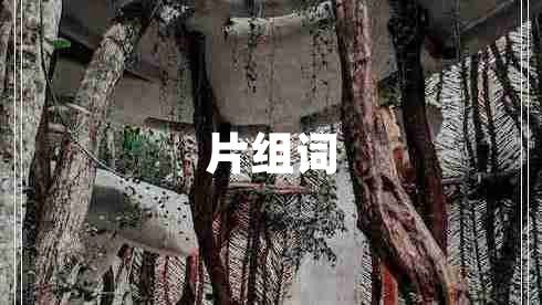 片組詞 片組詞
