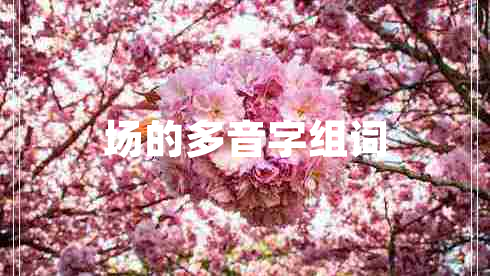 場的多音字組詞