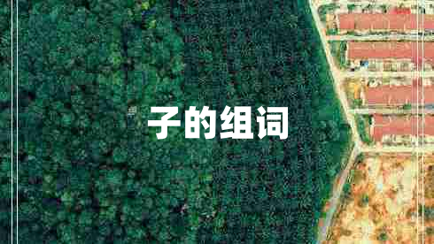 子的組詞 子的組詞