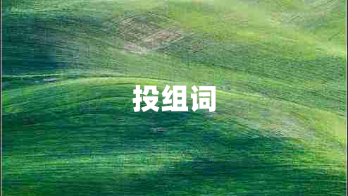 投組詞 投組詞