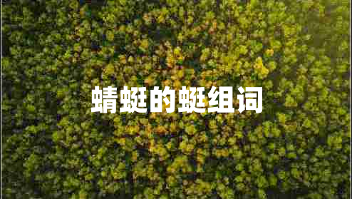 蜻蜓的蜓組詞