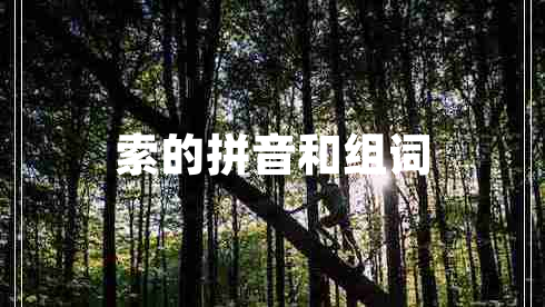 索的拼音和組詞