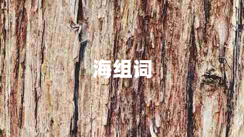 海組詞