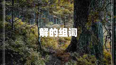 解的組詞 解的組詞