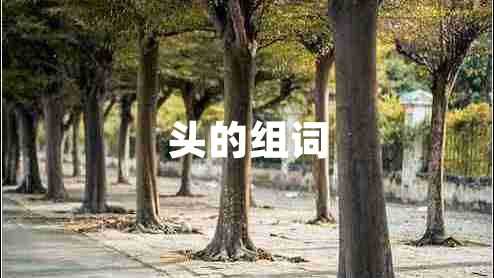 頭的組詞