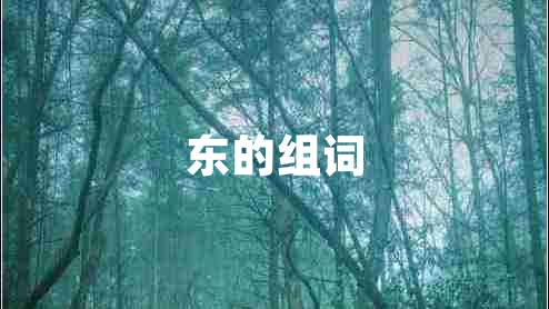 東的組詞 東的組詞