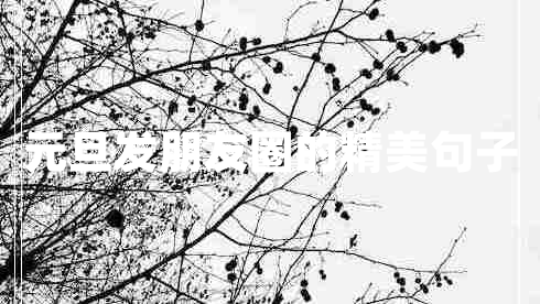 元旦發(fā)朋友圈的精美句子