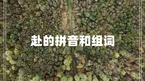 赴的拼音和組詞