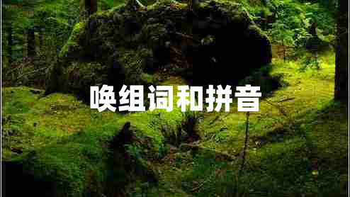 喚組詞和拼音