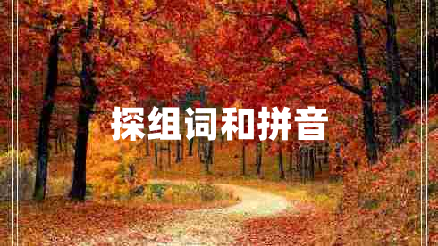 探組詞和拼音