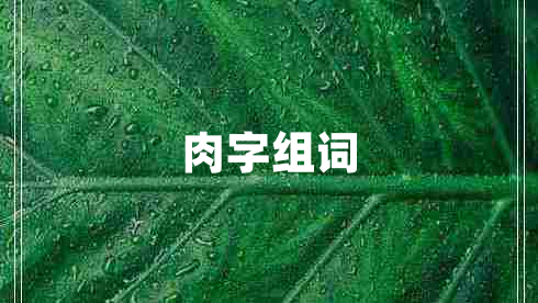 肉字組詞 肉字組詞