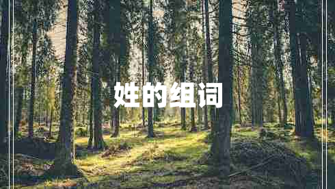 姓的組詞