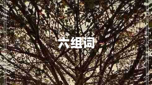 六組詞 六組詞