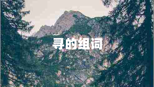 尋的組詞 尋的組詞
