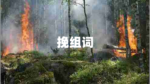 挽組詞