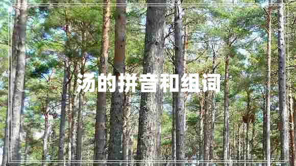 湯的拼音和組詞